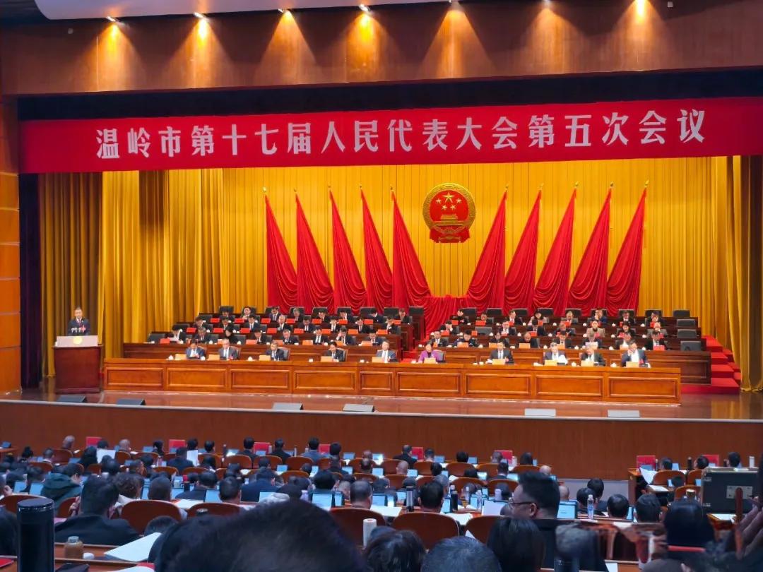 十年匠心护航，再谱服务华章！